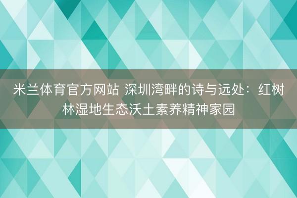 米兰体育官方网站 深圳湾畔的诗与远处:红树林湿地生态沃土素养精神家园
