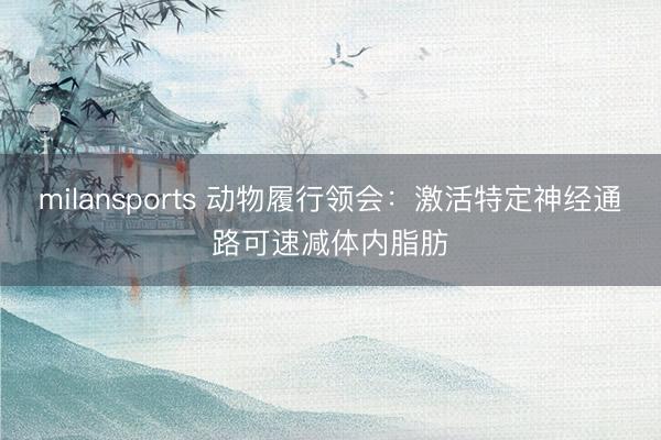 milansports 动物履行领会：激活特定神经通路可速减体内脂肪